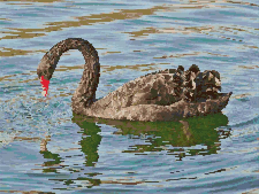 Black Swan free cross-stitch pattern
