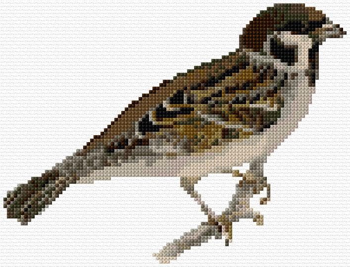 Sparrow free cross-stitch pattern