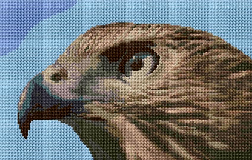 Goshawk free cross-stitch pattern