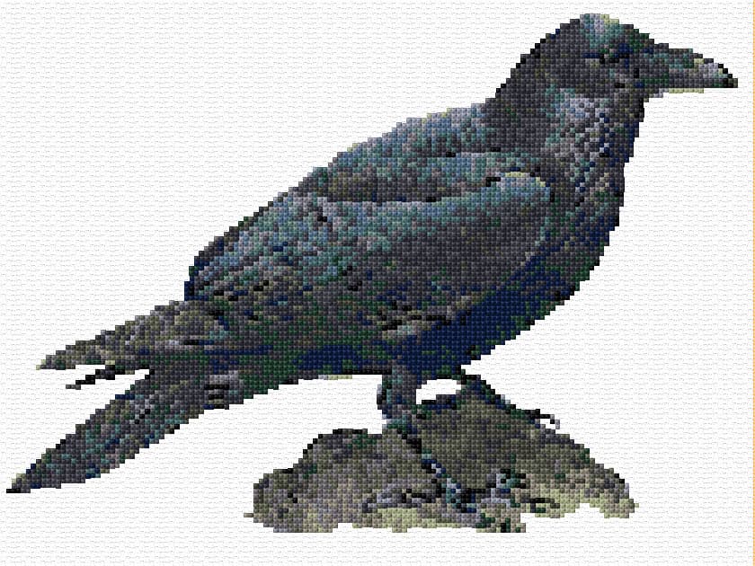 Raven free cross-stitch pattern
