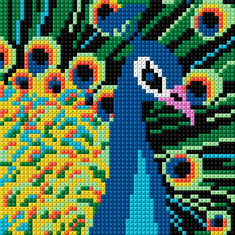 Peacock free cross-stitch pattern