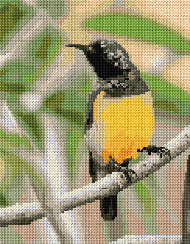 Variable Sunbird free cross-stitch pattern