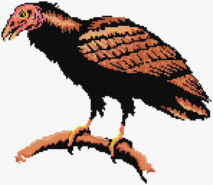 Andean Condor free cross-stitch pattern