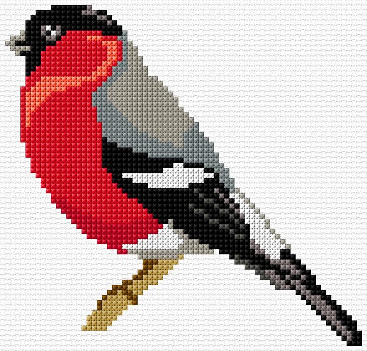 Bulfinch free cross-stitch pattern
