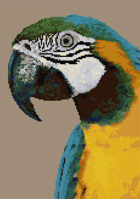 Parrot free cross-stitch pattern