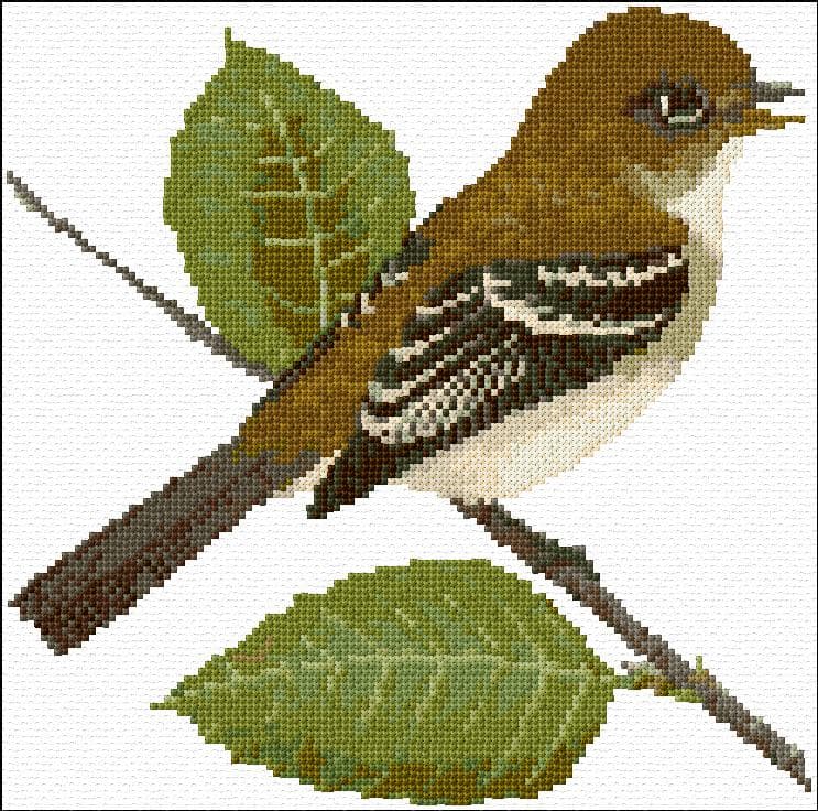 Sparrow free cross-stitch pattern