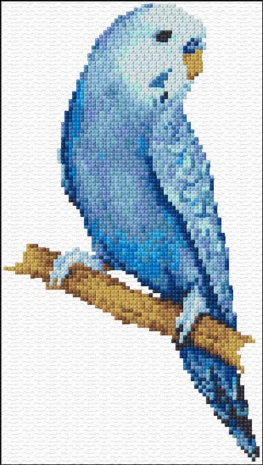 Blue Parakeet free cross-stitch pattern