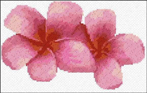 Hawaii Flowers free cross-stitch pattern