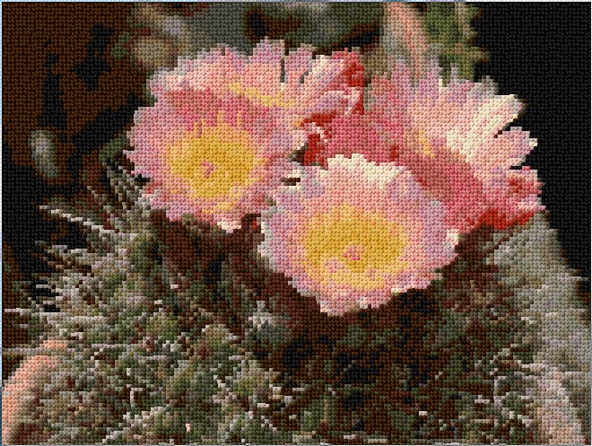 Blooming Cactus free cross-stitch pattern