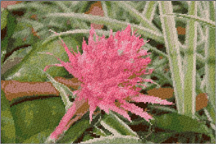 Cactus free cross-stitch pattern