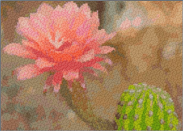 Cactus free cross-stitch pattern