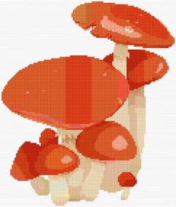 Mushrooms